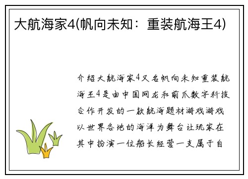 大航海家4(帆向未知:重装航海王4)